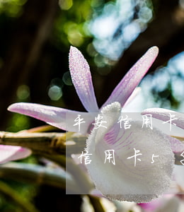平安信用卡5千塊逾期3個(gè)月(平安信用卡5千塊逾期3個(gè)月)