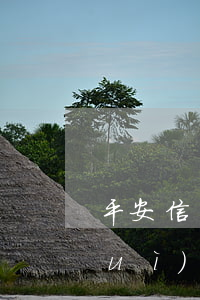 平安信用卡5萬(wàn)額度逾期會(huì)怎樣(信用卡5千額度逾期一年)