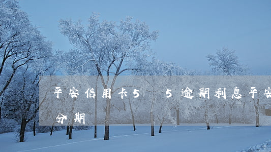 平安信用卡5萬5逾期利息(平安信用卡5萬分期)
