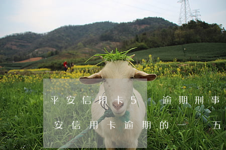 平安信用卡5萬逾期刑事訴訟么-有沒有平安信用卡逾期的一萬五被起訴刑拘的