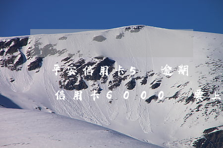 平安信用卡5萬逾期說讓去派出所-欠平安信用卡6000說要上門強制執(zhí)行