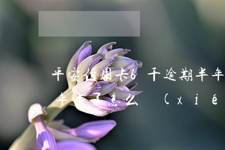 平安信用卡6千逾期半年(平安信用卡逾期一年半了怎么協(xié)商)
