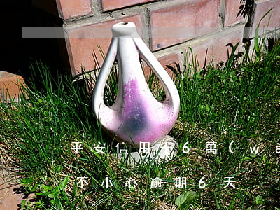平安信用卡6萬(wàn)逾期十天(信用卡不小心逾期6天)