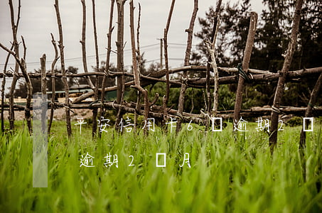 平安信用卡6萬逾期2個月(平安信用卡6萬逾期2個月)