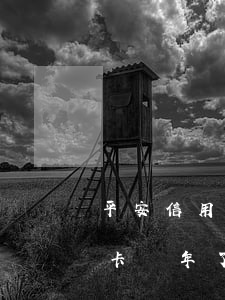 平安信用卡8000逾期2年了（欠平安信用卡兩年了）