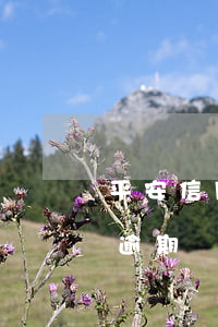 平安信用卡8千多逾期(平安信用卡5000逾期會(huì)上門嗎平安)