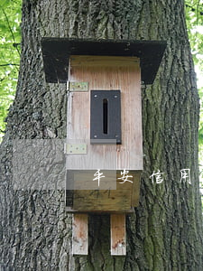 平安信用卡一次逾期(平安貸貸卡逾期了半年)
