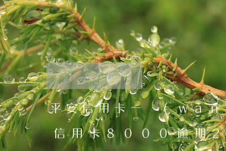 平安信用卡一萬(wàn)塊逾期一年(平安信用卡8000逾期2年了)