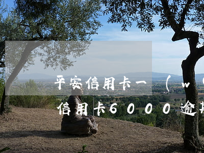 平安信用卡一萬(wàn)多逾期訴訟(平安信用卡6000逾期一年私人短信說(shuō)立案)