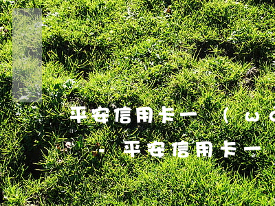 平安信用卡一萬(wàn)逾期一年要多少錢-平安信用卡一萬(wàn)逾期一年要多少錢利息