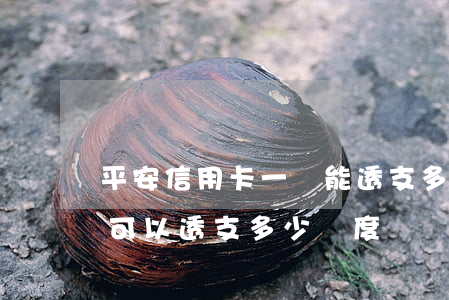 平安信用卡一萬能透支多少(平安銀行白金卡可以透支多少額度)