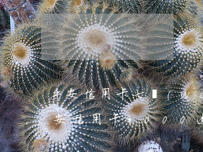平安信用卡七萬(wàn)逾期三年了-平安信用卡3000逾期1年多會(huì)走法律程序嗎