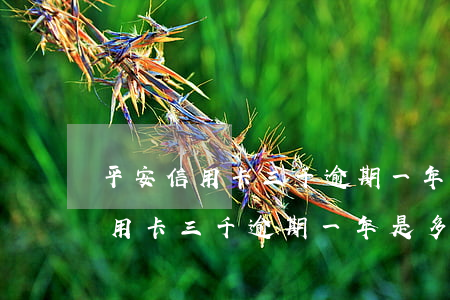 平安信用卡三千逾期一年是多少錢-平安信用卡三千逾期一年是多少錢利息