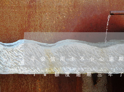 平安信用卡不小心逾期了20天(平安信用卡1w额度逾期三年了)