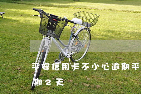 平安信用卡不小心逾期(平安信用卡不小心逾期2天)