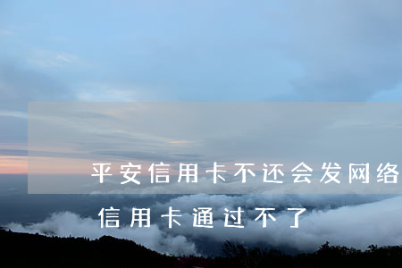平安信用卡不还会发网络吗(为什么平安银行信用卡通过不了)