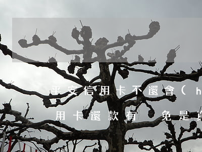 平安信用卡不還會(huì)加息嗎(平安信用卡還款有減免是真的嗎)