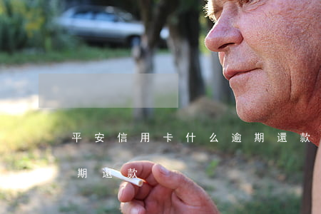 平安信用卡什么逾期還款 平安信用卡什么逾期還款
