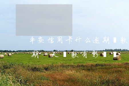 平安信用卡什么逾期還款(平安銀行信用卡逾期一天還款有影響嗎)