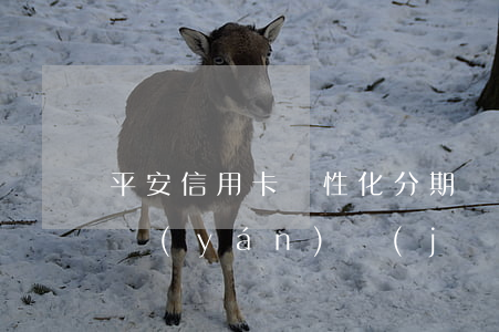 平安信用卡個性化分期協(xié)議有不嚴(yán)謹(jǐn)吧-平安銀行個性化分期可以做減免嗎