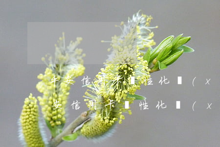 平安信用卡個性化協(xié)商后逾期 平安信用卡個性化協(xié)商后逾期怎么辦