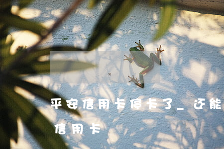 平安信用卡停卡了_还能开通吗-停用平安信用卡