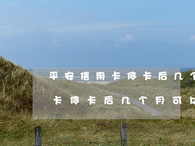 平安信用卡停卡后几个月可以停-平安信用卡停卡后几个月可以停卡