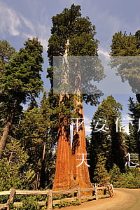 平安信用卡兩天算逾期么(平安信用卡逾期三天會怎樣)