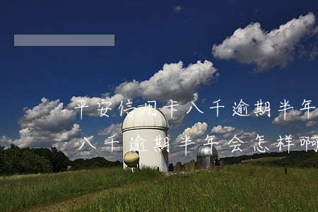 平安信用卡八千逾期半年会怎样 平安信用卡八千逾期半年会怎样啊