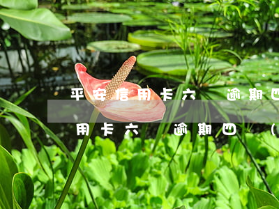 平安信用卡六萬逾期四個(gè)月(平安信用卡六萬逾期四個(gè)月)