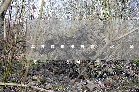平安信用卡分期，輕松購物，平安信用卡分期讓您無憂支付