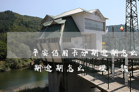 平安信用卡分期逾期怎么辦理(平安信用卡分期逾期怎么辦理還款)