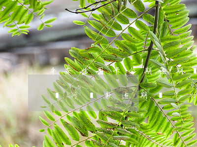 平安信用卡分期逾期會(huì)怎樣(平安銀行貸款逾期會(huì)不會(huì)影響信用卡額度)