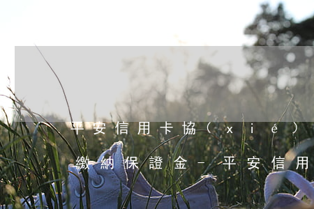 平安信用卡協(xié)商個性化分期需要繳納保證金-平安信用卡協(xié)商個性化分期需要繳納保證金嗎
