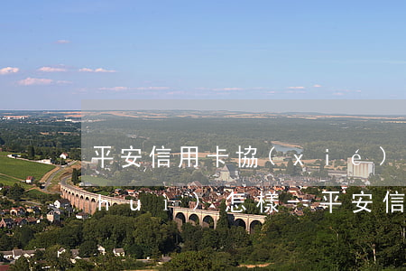 平安信用卡協(xié)商后二次逾期會(huì)怎樣-平安信用卡協(xié)商后二次逾期會(huì)怎樣呢