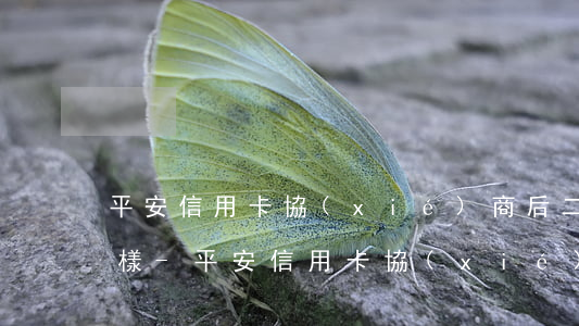 平安信用卡協(xié)商后二次逾期會怎樣-平安信用卡協(xié)商后二次逾期會怎樣呢