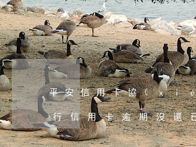 平安信用卡協(xié)商后又逾期(平安銀行信用卡逾期沒還已經(jīng)申請(qǐng)協(xié)商還款)