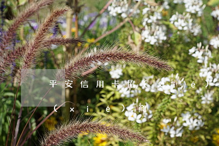 平安信用卡協(xié)商短信(平安逾期協(xié)商)