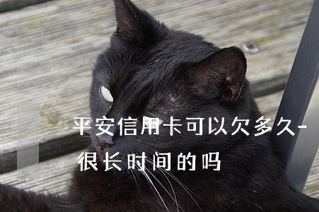 平安信用卡可以欠多久-有平安信用卡逾期很长时间的吗