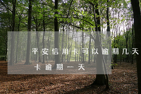 平安信用卡可以逾期几天还款吗-平安信用卡 逾期一天