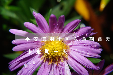 平安信用卡可以逾期幾天還款嗎-平安信用卡 逾期一天