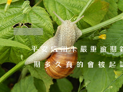 平安信用卡嚴重逾期銀行起訴-平安銀行逾期多久真的會被起訴嗎?