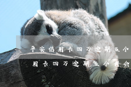 平安信用卡四万逾期五个月会怎样-平安信用卡四万逾期五个月会怎样处理