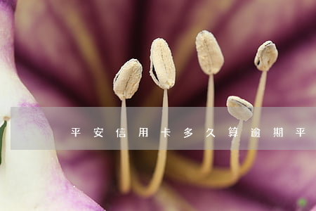 平安信用卡多久算逾期(平安銀行信用卡 逾期)