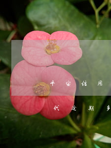 平安信用卡多久逾期會凍結卡(平安銀行新一代逾期多久會凍結銀行卡)