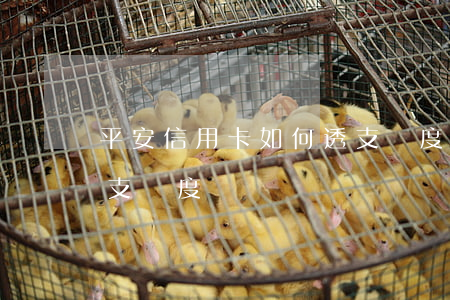 平安信用卡如何透支額度(平安信用卡如何透支額度)
