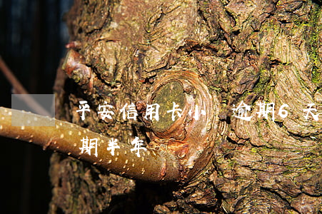 平安信用卡小額逾期6天(平安信用卡3千逾期半年)