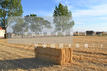 平安信用卡年費(fèi)還不上怎么回事-平安信用卡年費(fèi)還不上怎么回事兒