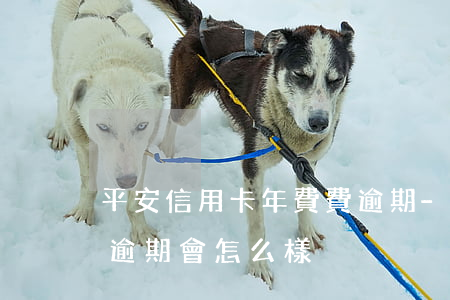 平安信用卡年費費逾期-平安信用卡年費費逾期會怎么樣