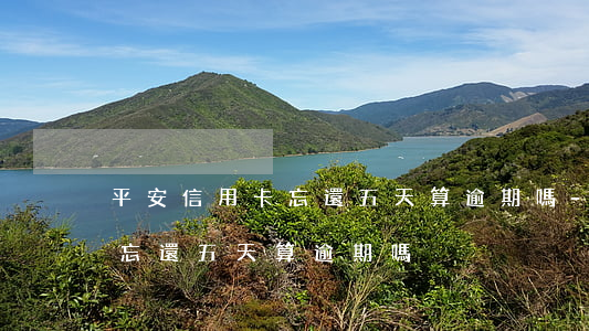 平安信用卡忘還五天算逾期嗎-平安信用卡忘還五天算逾期嗎
